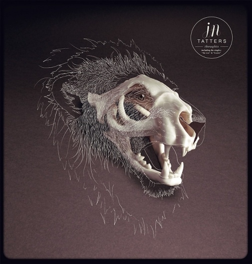 SHOTOPOP LTD - DIGITAL ILLUSTRATION #skull #lion