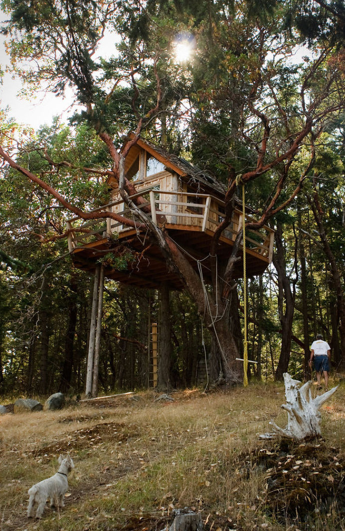 Treehouse On Henry Island #treehouse