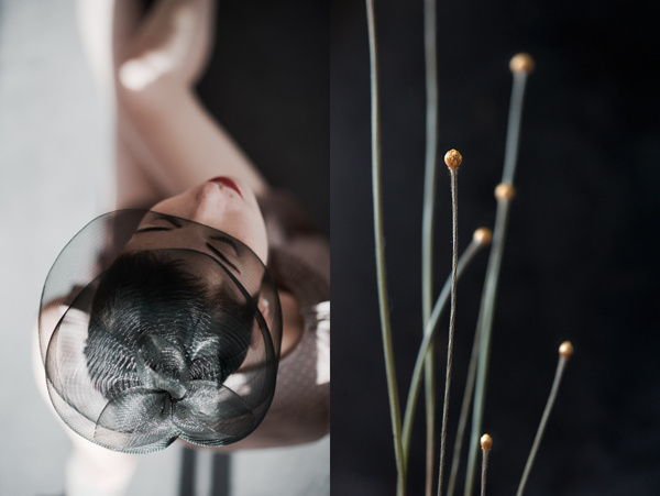 Blossom on Behance #diptych