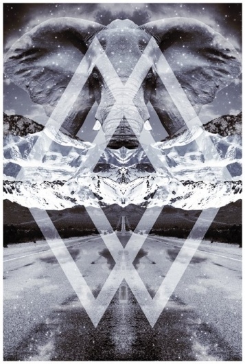Facebook #print #desing #elephant #photography #art