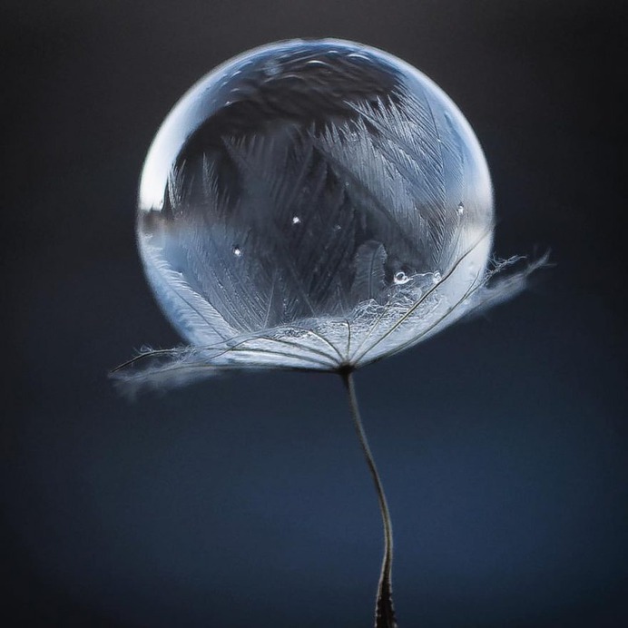 Beautiful Macro Flower Photography by Silvia Kobelova