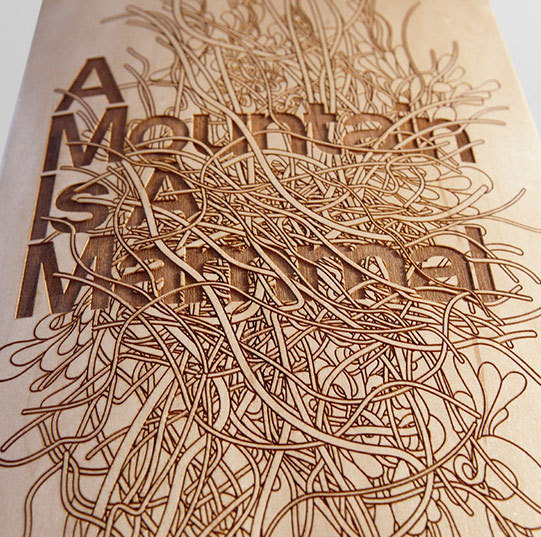 AIGA Hung Up « An Ordinary Blogfolio #skateboard #illustration #laser #typography