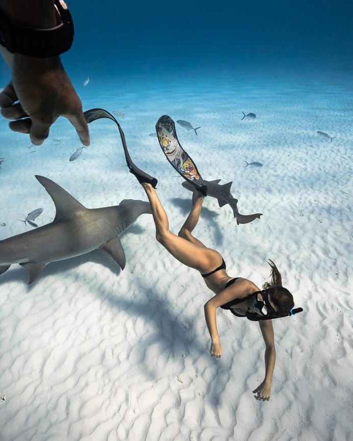 Astonishing Underwater Photography by André Musgrove