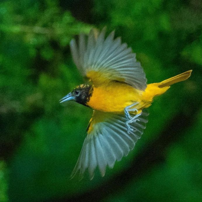 Beautiful Nature Photography by National Geographic Photographer Michael Melford