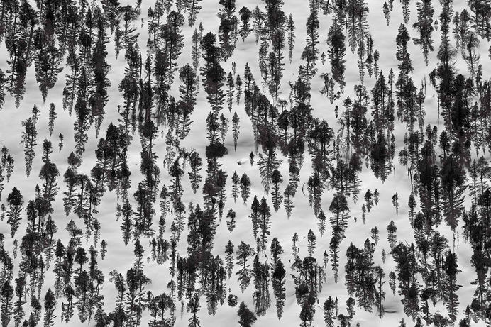 Buamai - The Ansel Adams Wilderness: A Photographic Tribute By Peter Essick - Photos - The Big Picture - Boston.com #pattern