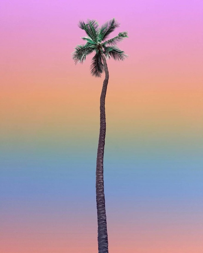 Colorful and Aesthetic Minimalist Photography by Aryton Page
