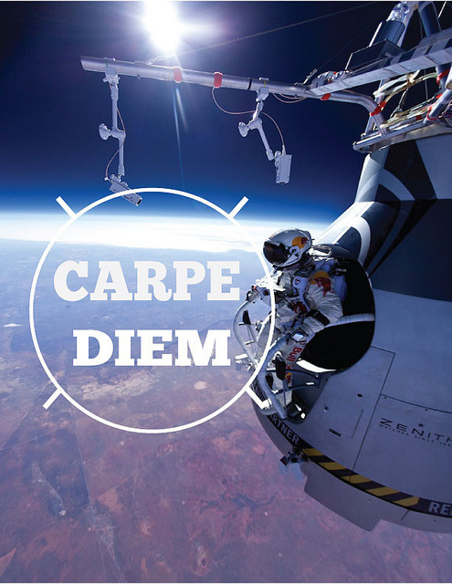 photo #red #typography #carpe #poster #diem #bull #cool