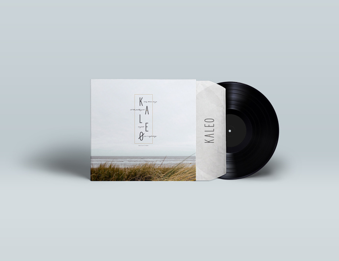 kaleo band poster, band, poster design, poster, music album, fan art, album, music, graphic design, simple design, clean design, nature, nat