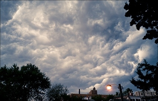 Google Reader (618) #clouds