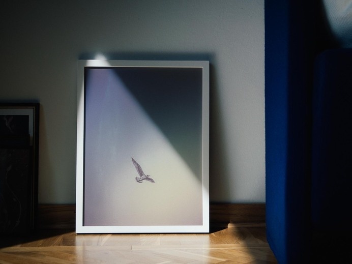 Artworks by Pale Grain #inspiration #frame #sweden #gteborg #print #seagull #artwork #framing
