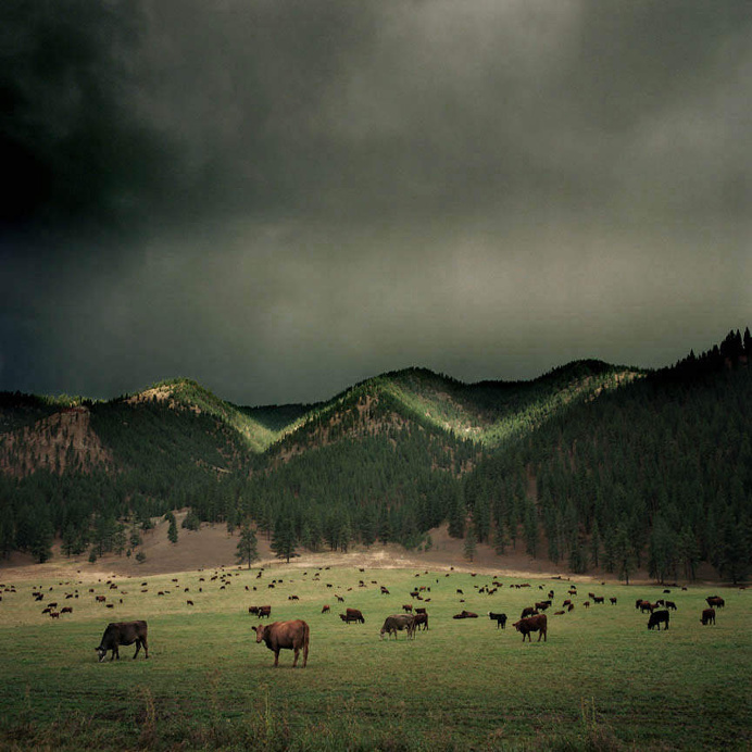Vintage American Landscapes by Michael Eastman