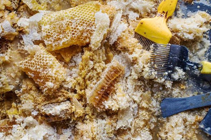 Honeycomb and Wax by Becci Hutchings