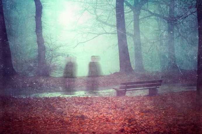Photography by Dirk Wuestenhagen #inspiration #photography #art