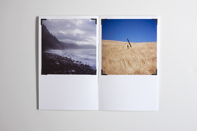 I FEEL BETTER ~ BIT BY ZEUS ~ Tim Gatto #zine #publication