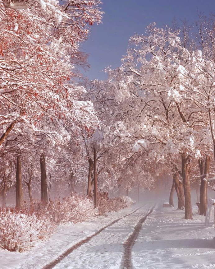 Amazing Nature Photography in Japan by Makiko Samejima