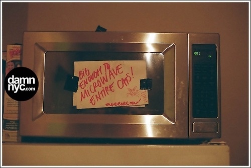 damn nyc - pictures #damnnyc #analog #damn #cat #microwave #photography #nyc