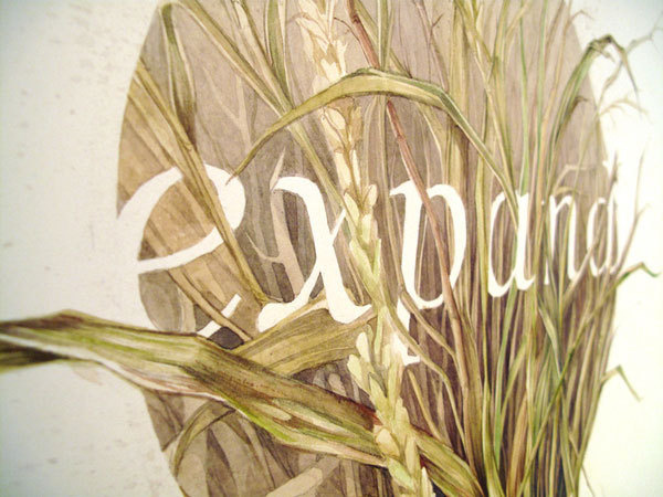 Graphic ExchanGE a selection of graphic projects #illustration #nature