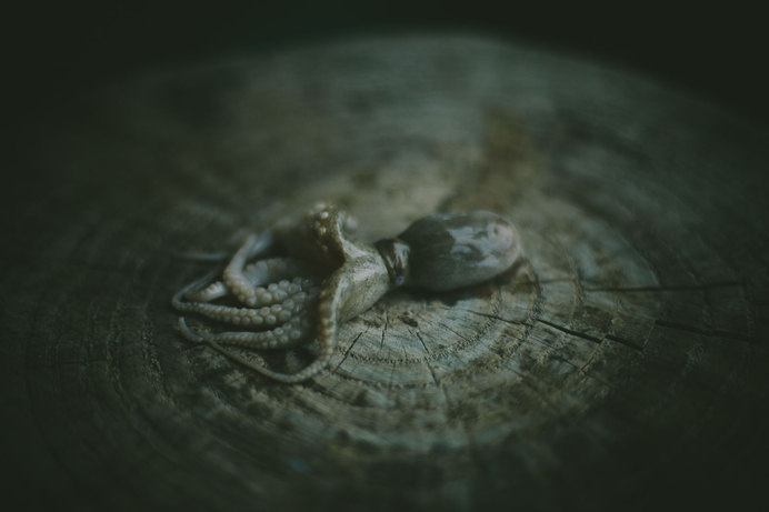 Brady Williams: Chef | Dallas, TX #photography #dark