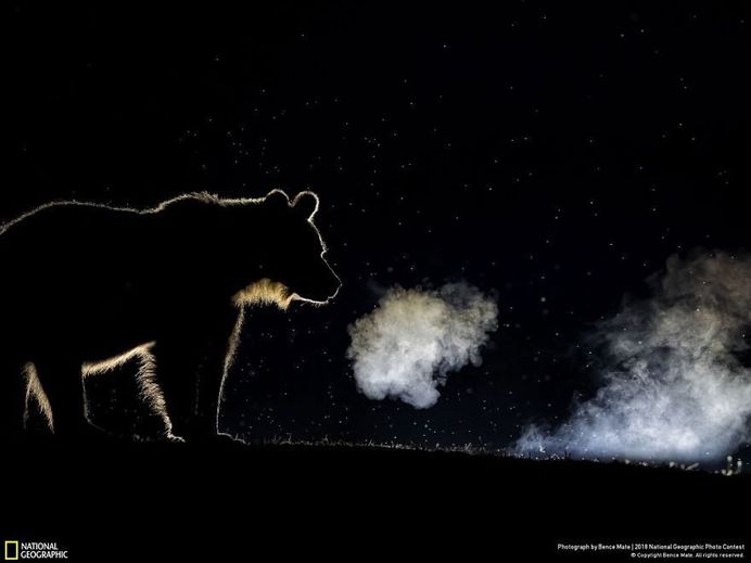 Breathing, Bence Mate