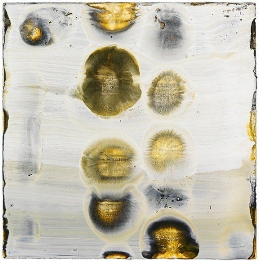 LYNN BASA - Eclipse #on #encaustic #art #panel