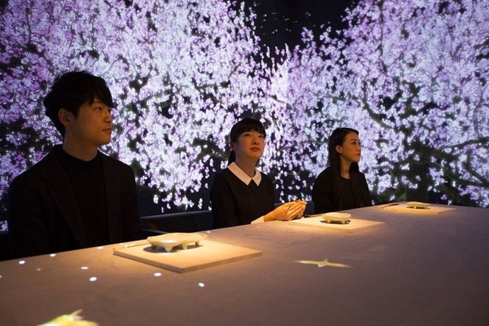 Sagaya - A Taste of Japan by teamLab 6