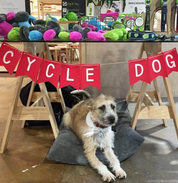 Most Dog Friendly Stores in America - Urban Outfitters
