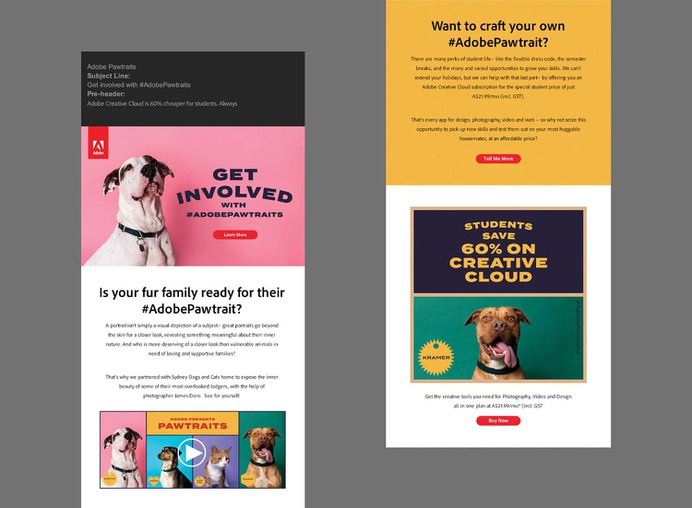 Adobe Pawtraits - Mindsparkle Mag For The People & ilana grace designed this beautiful project named Adobe Pawtraits. #logo #packaging #identity #branding #design #color #photography #graphic #design #gallery #blog #project #mindsparkle #mag #beautiful #portfolio #designer