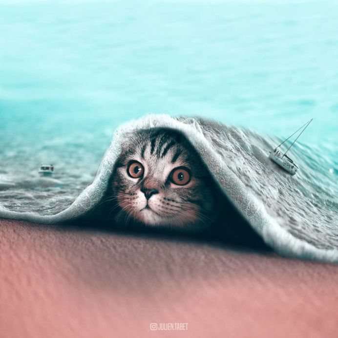 Dreamlike Animals: Whimsical Photo Manipulations by Julien Tabet