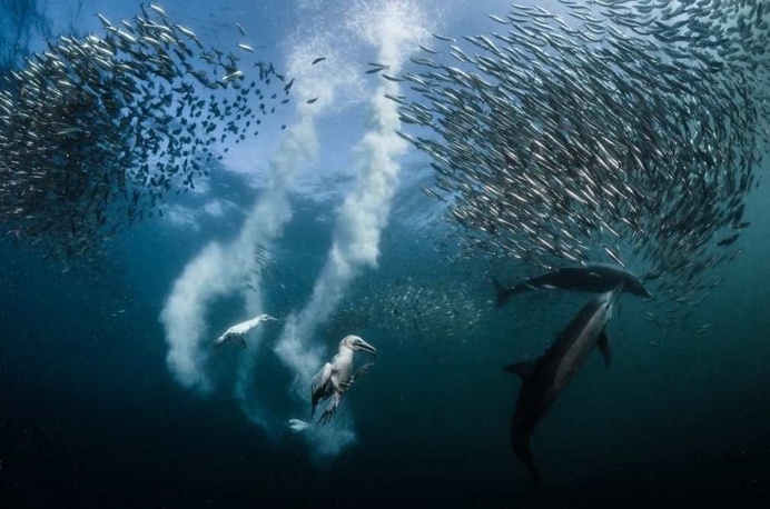 Winning Travel Shots From The 2016 Siena International Photo Awards