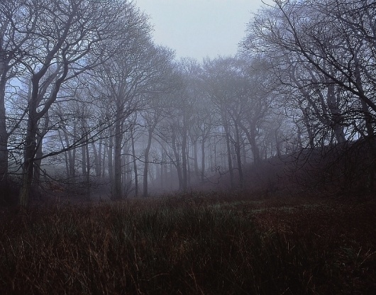 Antony Crook #antony #photography #crook