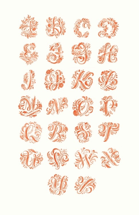 Typeverything.com Â Floral AlphabetÂ by Jil DeHaan. #lettering #floral #illustration #alphabet #type #typography