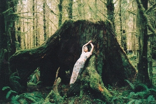 Photography by Amanda White I Art Sponge #white #hoh #rainforest #amanda #photography #nature #fashion #dress #moss