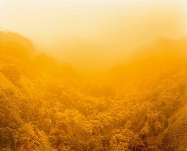 David Benjamin Sherry | PICDIT