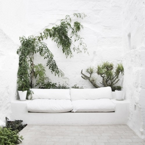 la buhardi · blog #interior #design #nature