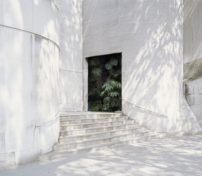 Photomonitor - Interviews - Haven Her Body Was #foliage #white #photography #shadow #art #exterior #light #plant