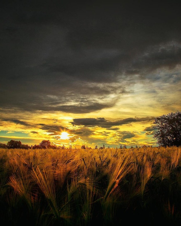 Magical Landscape and Nature Photography by Jan Poloni