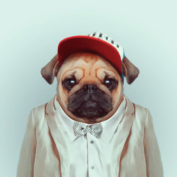 Fashion Zoo Animals11 #totem