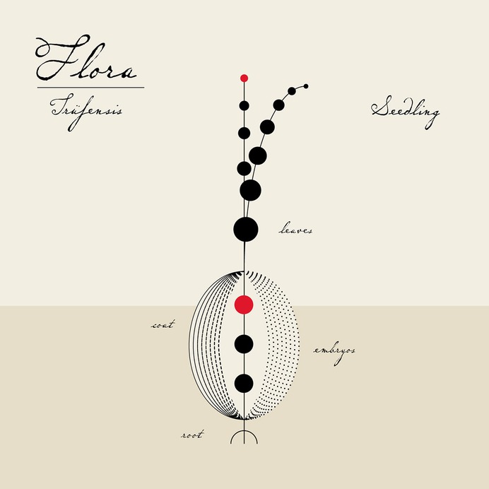 FLÖRA on Behance