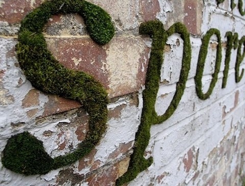 FFFFOUND! | Mossenger Event Photos | Blogs | YCN #graffiti #moss