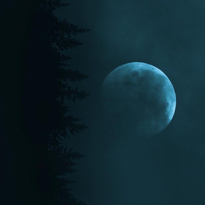 Breathtaking Moody and Mysterious Forest Photography by Dylan Furst
