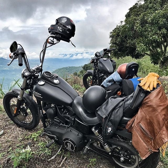 ⚡️More roll, less scroll - Canyon Cruising⚡️#RoadTrippin #WeRiding Bobber Chopper Harley Davidson Motorcycle Lifestyle Custom Cultur