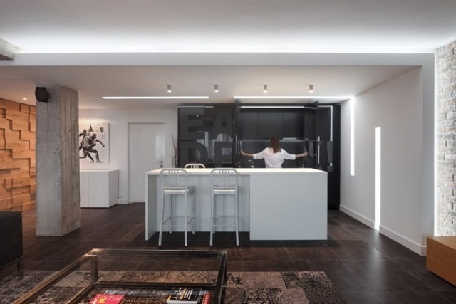 AV Loft Apartment by Arhitektura Budjevac Serbia (2)