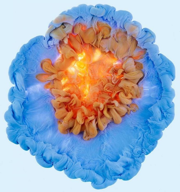 Flowers and Swirls: Colorful Liquid Photography by Mark Mawson