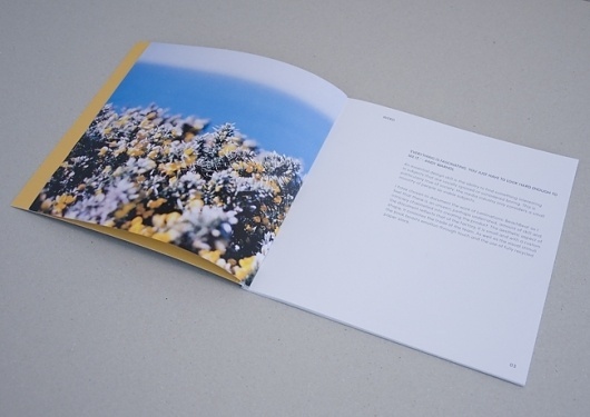 Mike Hamberg #surfing #layout #book #photography #promotion