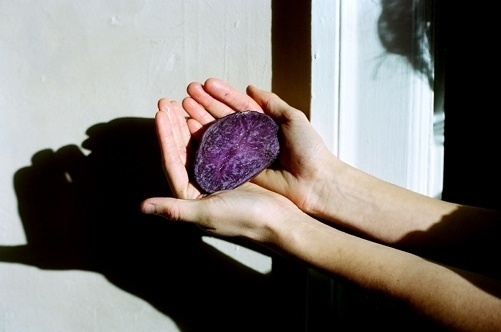 002.JPG (JPEG Image, 501x332 pixels) #meganmcisaac #photography #com #film