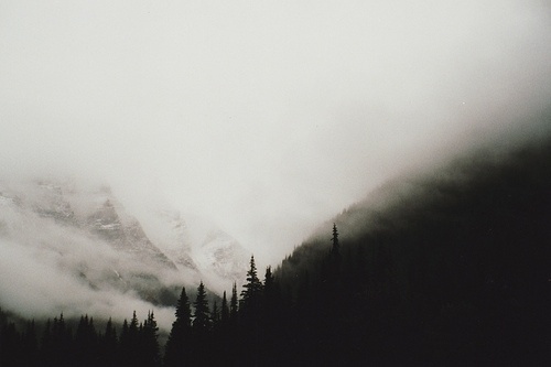 Film Grain ((by Robin Mellway)) #white #fog #black #and