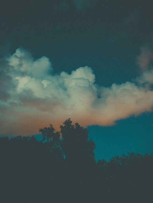 Summer nights mid