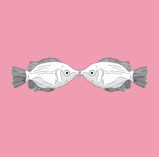 Secret 7 #friday #fish #gourami #kissing #love