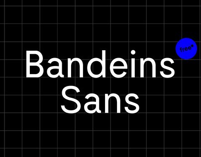 Bandeins Sans is a simple, modern sans serif typeface which combines typical geometric characteristics with a slightly curvy character, inspired by grotesque fonts from the 19th century. Designed by Maximilian Müsgens, Bandeins / Typeeins. The complete specimen on type.bandeins.de more on www.bandeins.de and www.type.bandeins.de #font #typeface #typedesign #sansserif #design #typography #typodesign #type #grotesque #typefoundry #typeeins #bandeins #minmal #modern #variable #variablefonts