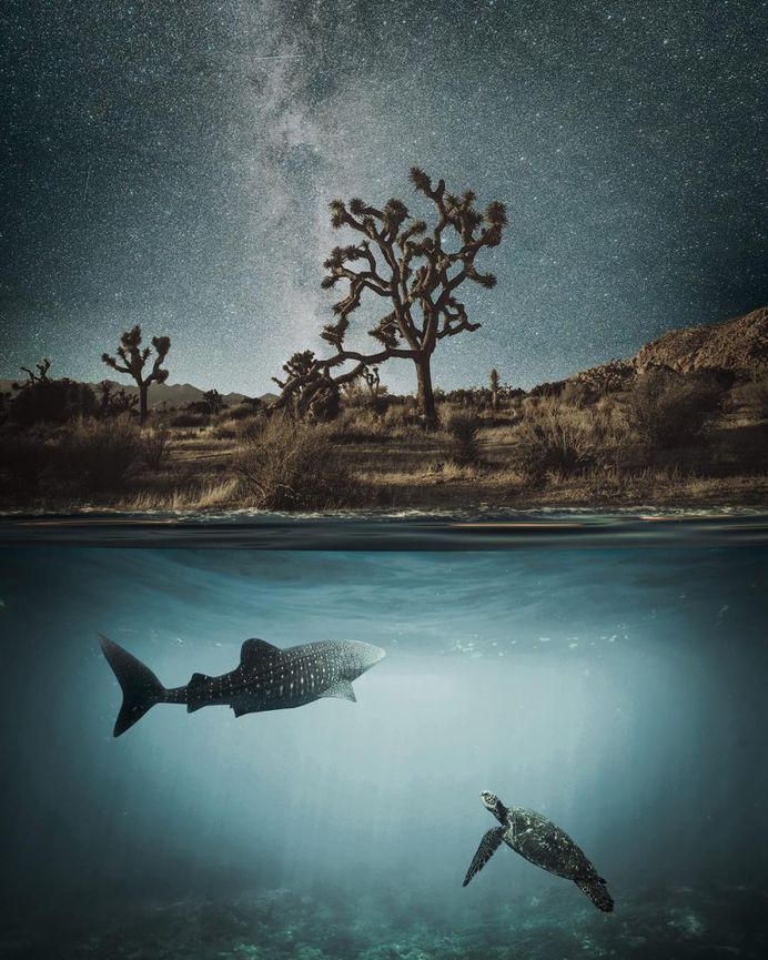 Dreamlike Photo Manipulations by Emma Karlsson
